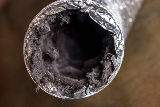 Best Air Duct Cleaning Company Near Me  in Rockwood, VA