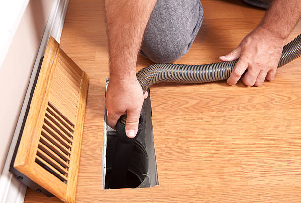 Best Air Duct Mold Removal  in Rockwood, VA