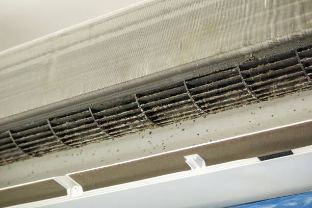 Air Duct Mold Removal in VA